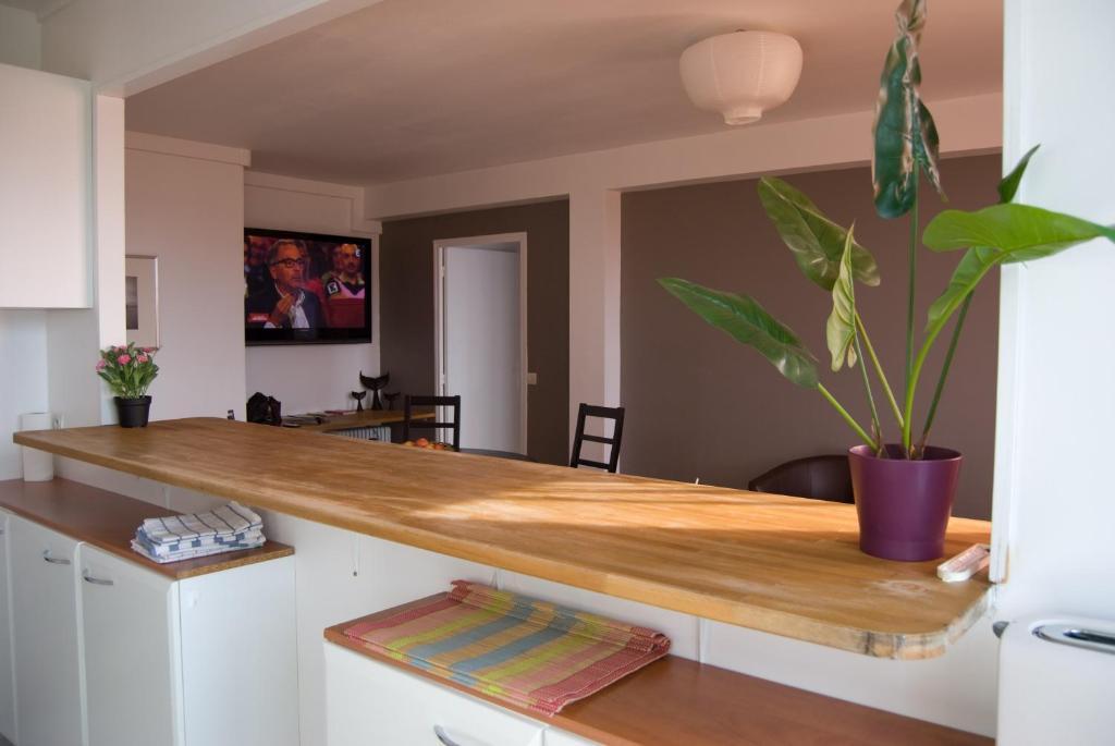 Moderne Et Lumineux Appartement